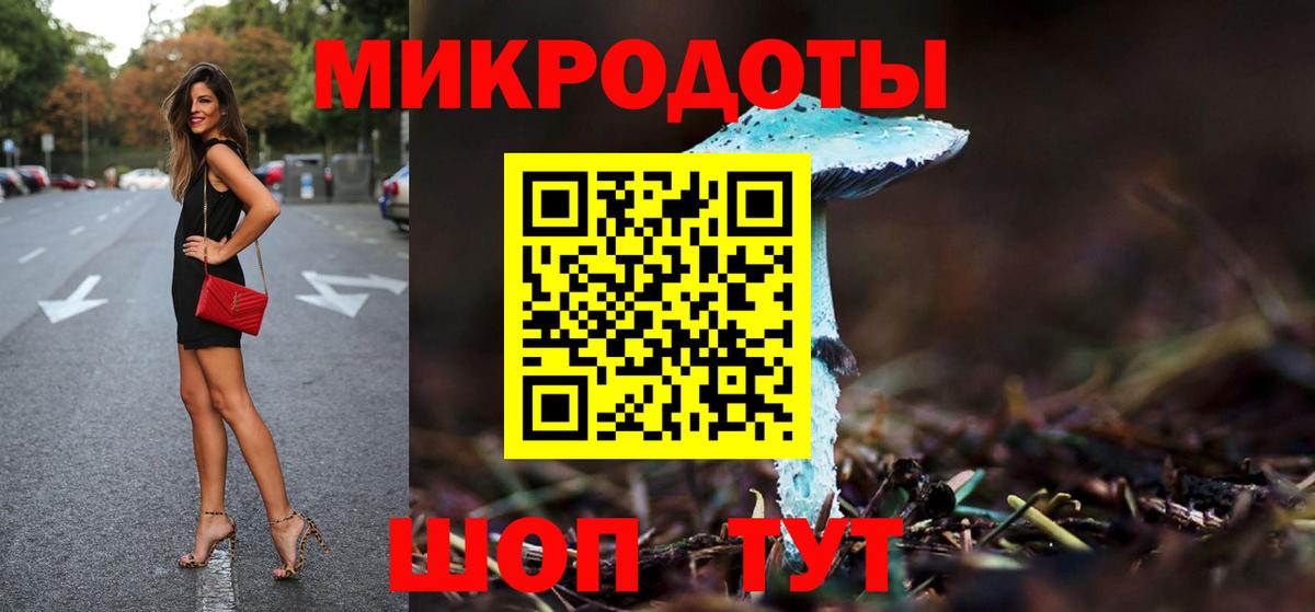 Галлюциногенные грибы Psilocybine cubensis Ефремов