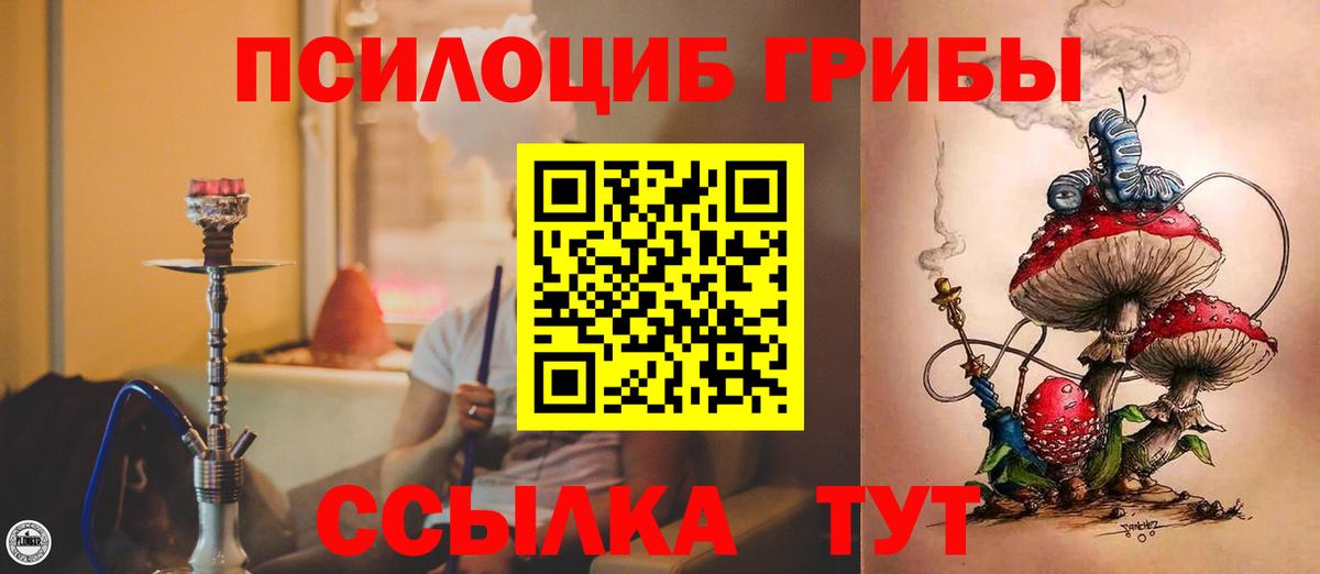 Псилоцибиновые грибы Psilocybine cubensis  Вход с VPN  сколько стоит  Ефремов 